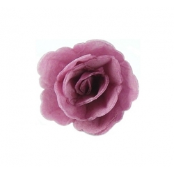 Róża chińska waflowa mała amarantowa 1 sztuka